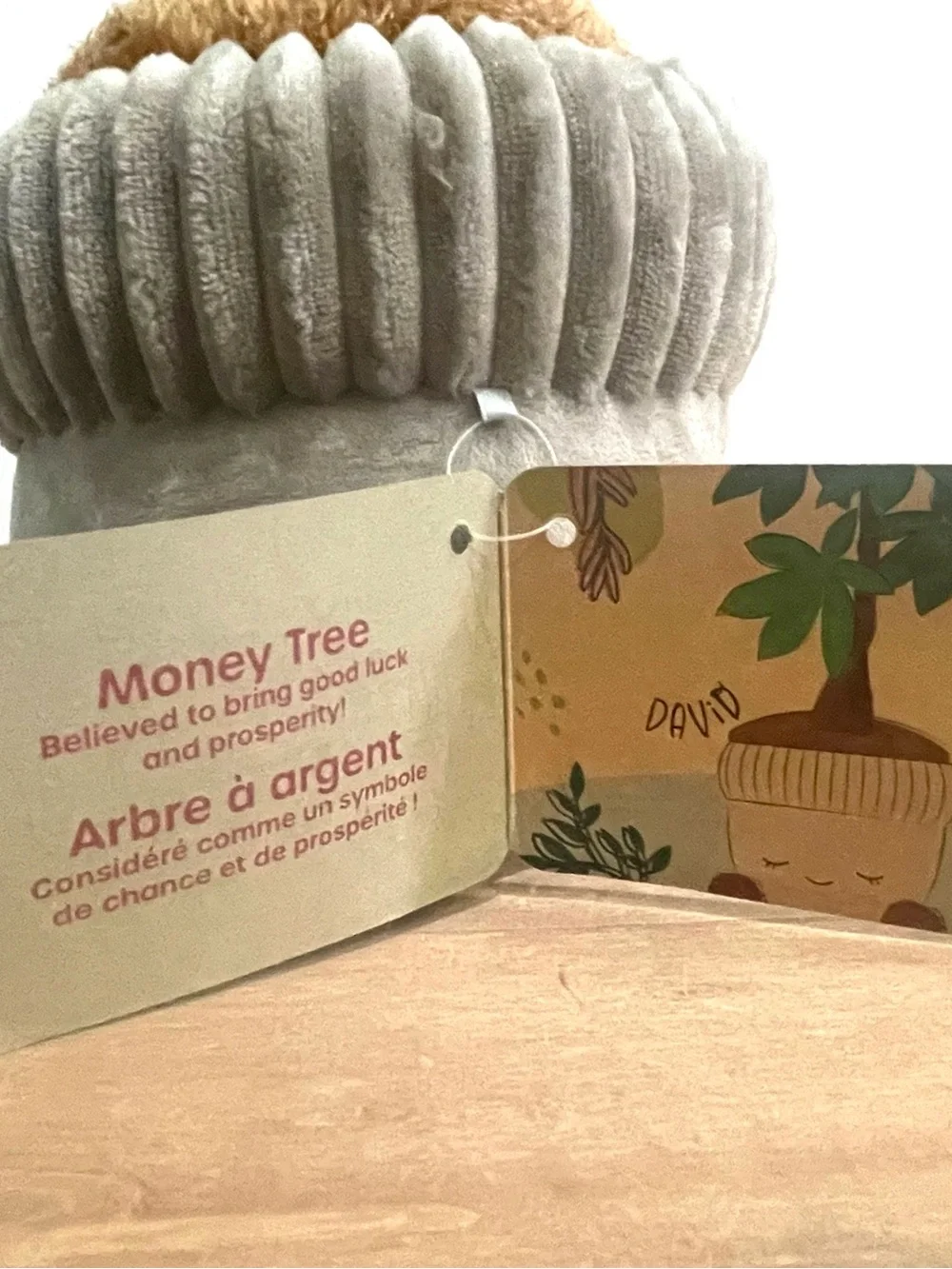 Greenhouse by Russ Money Tree Planter - Soft Green and Brown Cozy Décor